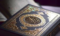تخبط المخالفين الوهابية والنواصب ومحاولة ذمهم من خلال القرآن